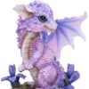 Iris Flower Dragon - Image 3