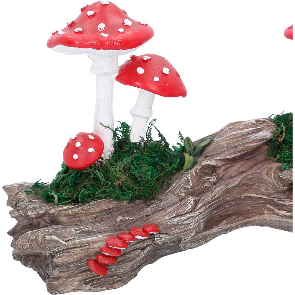 Toadstool Trunk - Image 3