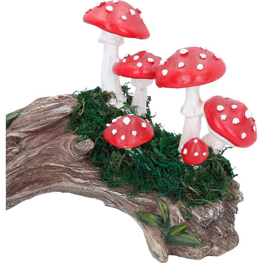 Toadstool Trunk - Image 4