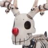 Rudi - Image 3