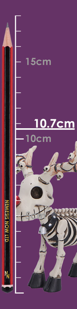 Rudi - Image 6