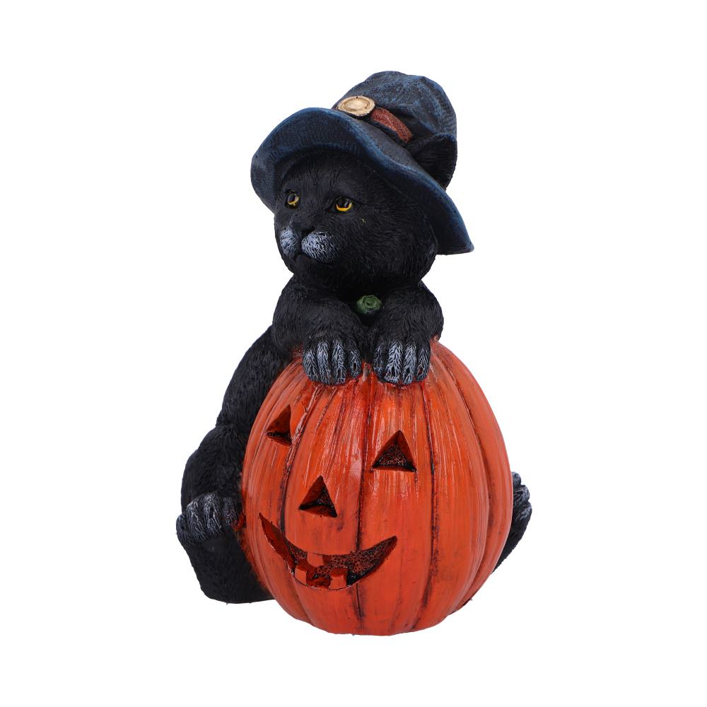 Trick or Treat - Image 7