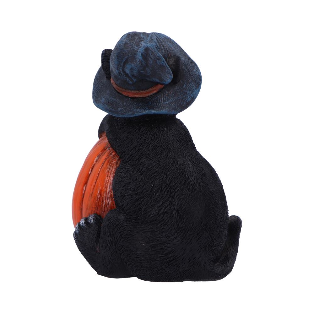 Trick or Treat - Image 8