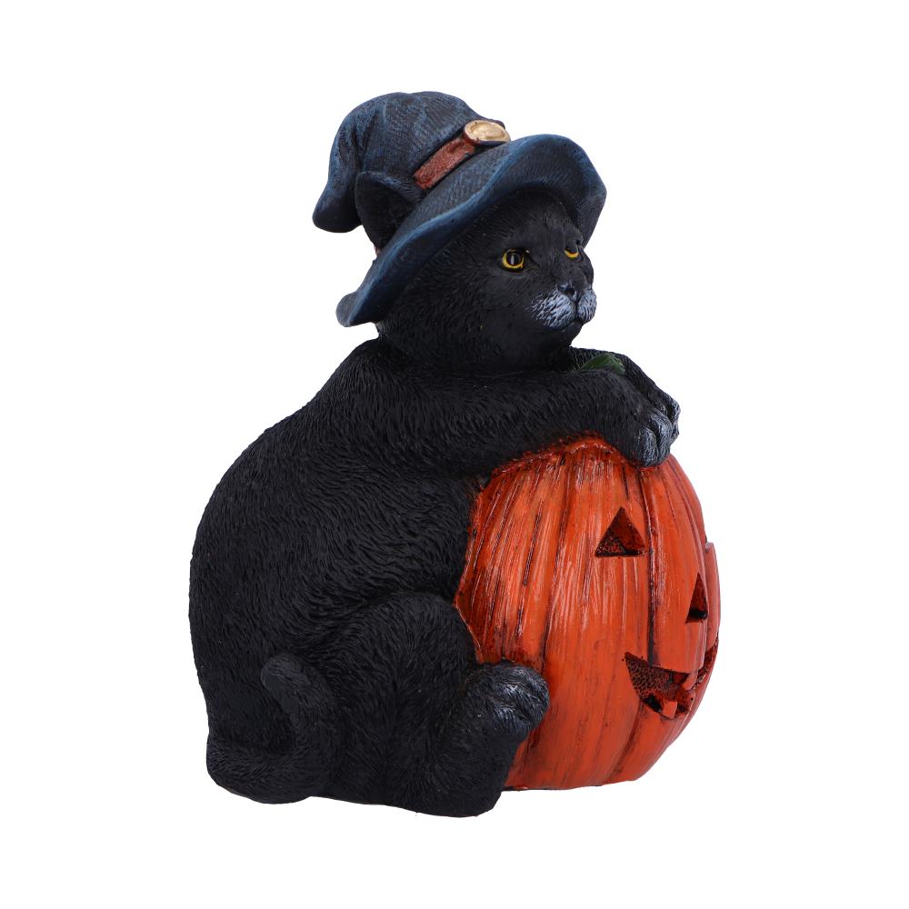 Trick or Treat - Image 2