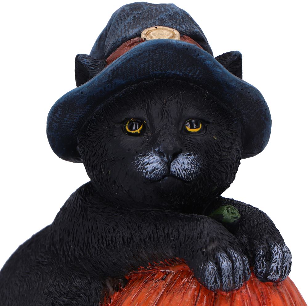 Trick or Treat - Image 3