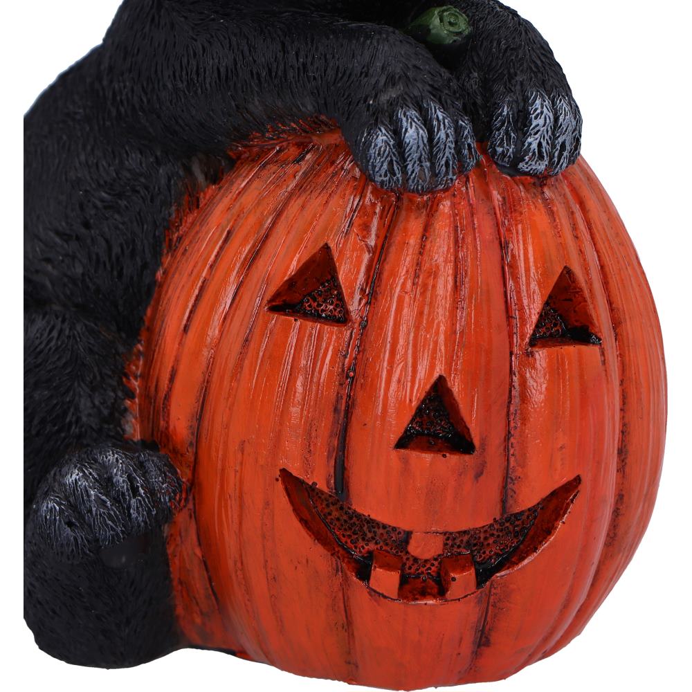 Trick or Treat - Image 4