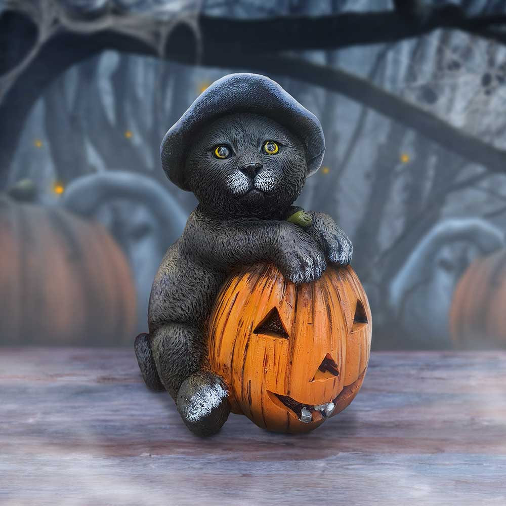Trick or Treat - Image 5