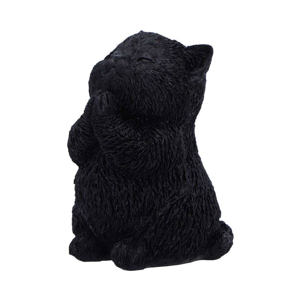 Whisker Wish - Image 8