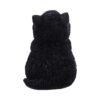 Whisker Wish - Image 2