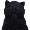 Whisker Wish - Image 4