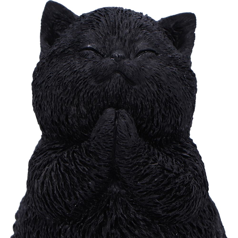 Whisker Wish - Image 4