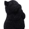 Whisker Wish - Image 5