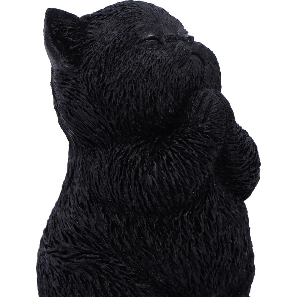Whisker Wish - Image 5